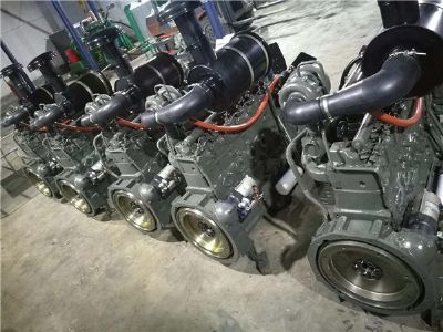 點擊查看詳細信息<br>標題：龍工30裝載機發動機 閱讀次數：1893